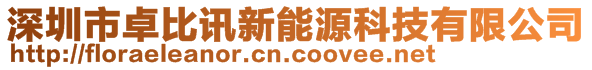 深圳市卓比讯新能源科技有限公司