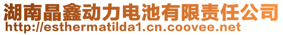 湖南晶鑫動力電池有限責任公司