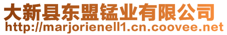 大新縣東盟錳業(yè)有限公司