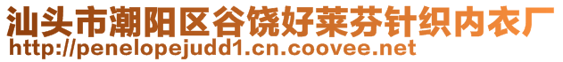 汕頭市潮陽區(qū)谷饒好萊芬針織內(nèi)衣廠