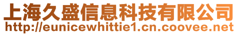 上海久盛信息科技有限公司