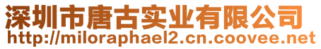 深圳市唐古實業(yè)有限公司