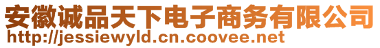 安徽誠品天下電子商務(wù)有限公司
