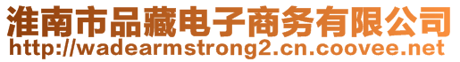 淮南市品藏電子商務(wù)有限公司