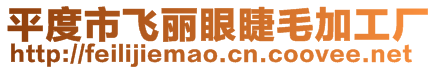 平度市飛麗眼睫毛加工廠