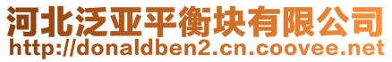 河北泛亞平衡塊有限公司