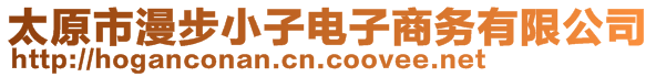 太原市漫步小子電子商務(wù)有限公司