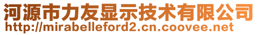 河源市力友顯示技術(shù)有限公司