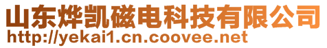 山東燁凱磁電科技有限公司