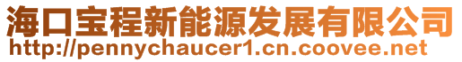 海口宝程新能源发展有限公司