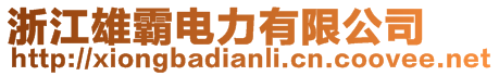 浙江雄霸電力有限公司