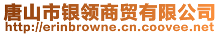 唐山市銀領(lǐng)商貿(mào)有限公司