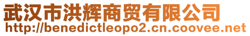 武漢市洪輝商貿(mào)有限公司