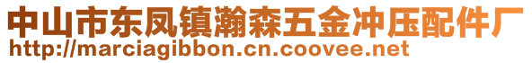 中山市东凤镇瀚森五金冲压配件厂