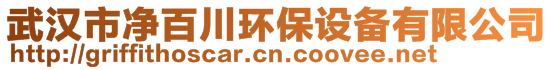 武汉市净百川环保设备有限公司