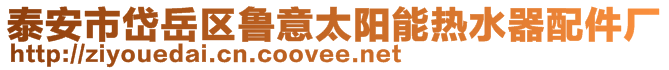 泰安市岱岳區(qū)魯意太陽(yáng)能熱水器配件廠