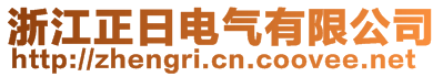 浙江正日電氣有限公司