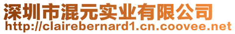 深圳市混元實業(yè)有限公司