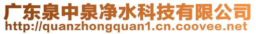 广东泉中泉净水科技有限公司