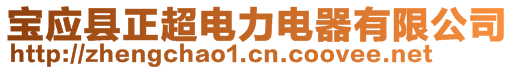 寶應縣正超電力電器有限公司