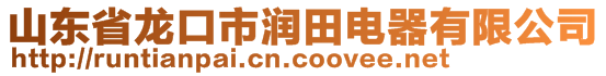 山東省龍口市潤田電器有限公司