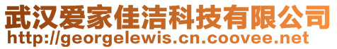 武漢愛家佳潔科技有限公司