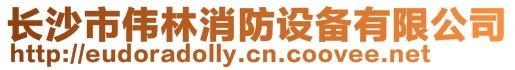 長沙市偉林消防設備有限公司