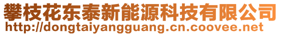 攀枝花東泰新能源科技有限公司