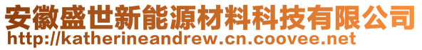 安徽盛世新能源材料科技有限公司