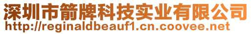 深圳市箭牌科技实业有限公司