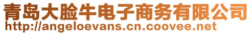 青島大臉牛電子商務(wù)有限公司