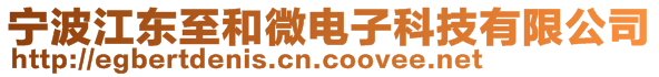 宁波江东至和微电子科技有限公司