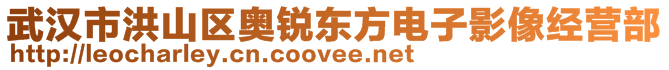 武漢市洪山區(qū)奧銳東方電子影像經(jīng)營(yíng)部