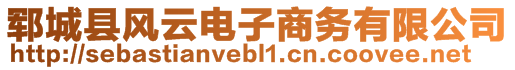 鄆城縣風(fēng)云電子商務(wù)有限公司