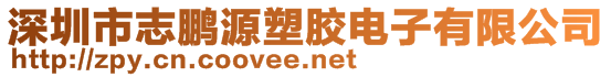 深圳市志鵬源塑膠電子有限公司