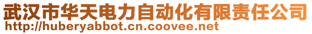 武漢市華天電力自動化有限責任公司