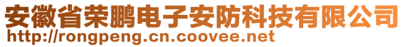 安徽省榮鵬電子安防科技有限公司