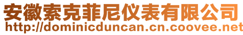 安徽索克菲尼仪表有限公司