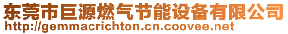 东莞市巨源燃气节能设备有限公司