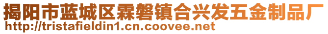 揭陽市藍(lán)城區(qū)霖磐鎮(zhèn)合興發(fā)五金制品廠