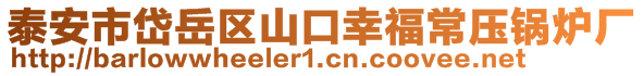 泰安市岱岳区山口幸福常压锅炉厂