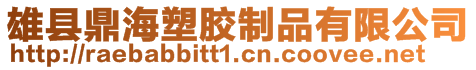 雄县鼎海塑胶制品有限公司