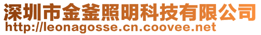 深圳市金釜照明科技有限公司