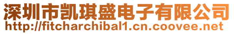 深圳市凱琪盛電子有限公司