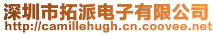 深圳市拓派電子有限公司
