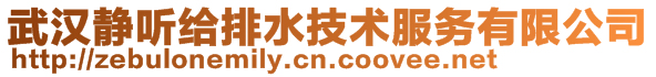 武漢靜聽(tīng)給排水技術(shù)服務(wù)有限公司