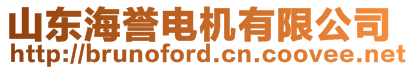 山东海誉电机有限公司