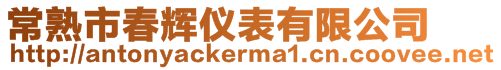 常熟市春輝儀表有限公司