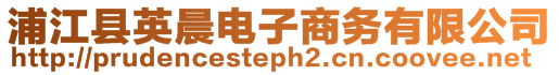 浦江縣英晨電子商務(wù)有限公司