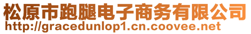 松原市跑腿電子商務(wù)有限公司